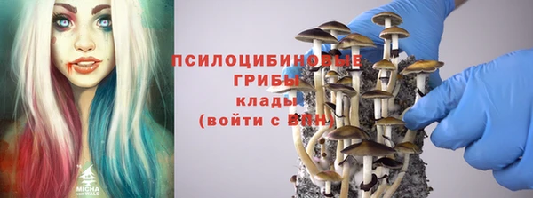 твердый Алзамай
