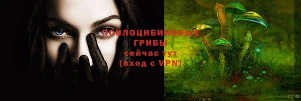 твердый Алзамай
