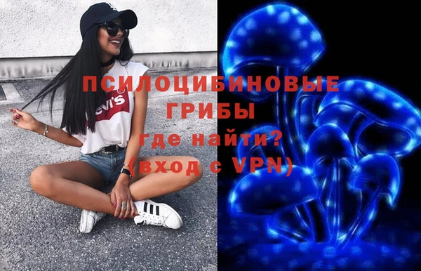 твердый Алзамай