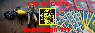 сатива Аргун