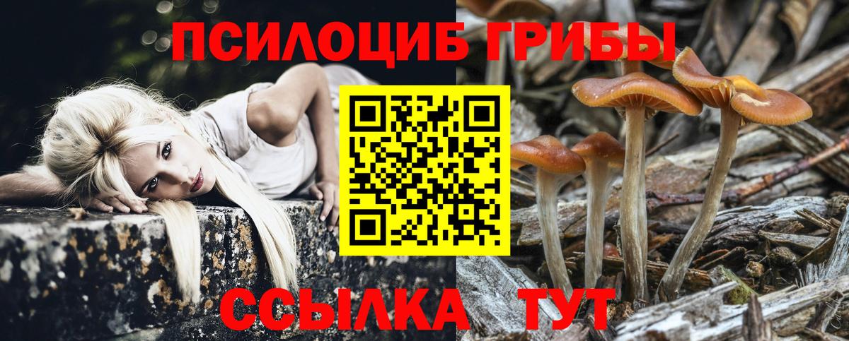 Апшеронск  Псилоцибиновые грибы ЛСД  Вход с VPN 